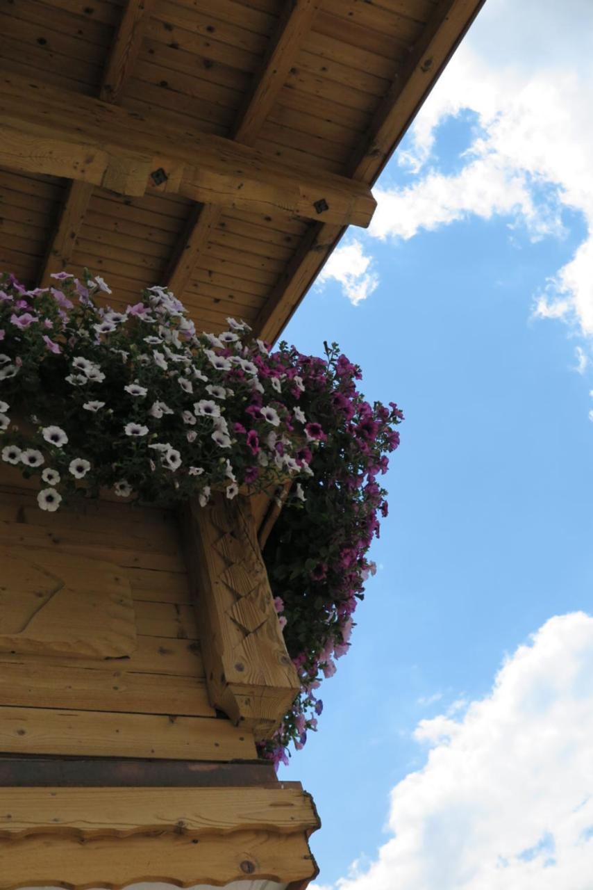 Haus Enzian Apartment Sankt Johann im Pongau Exterior photo